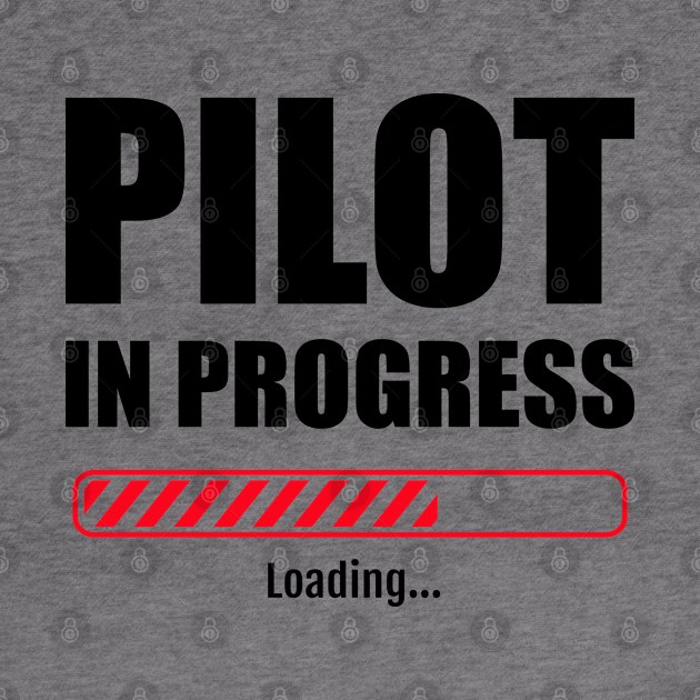 Pilot in progress red bar by VFR Zone